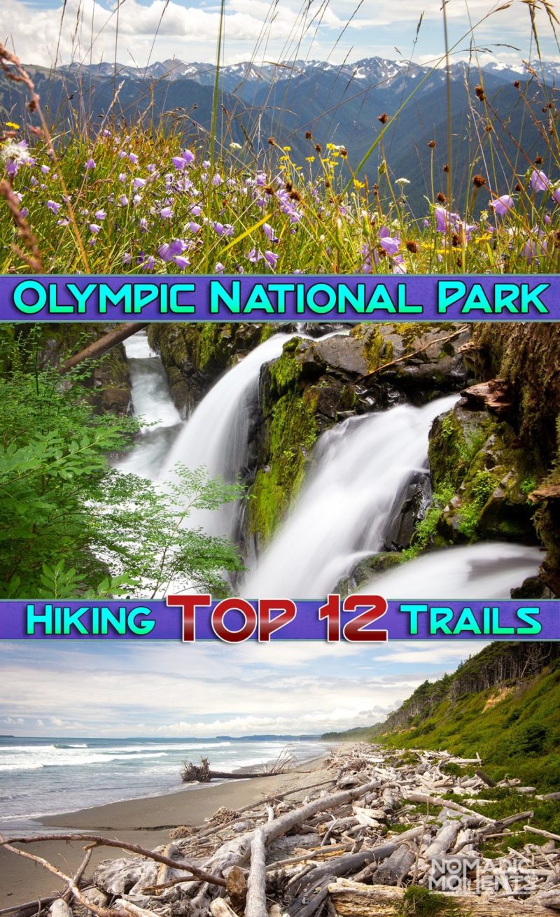 Best Easy Day Hikes Olympic National Park