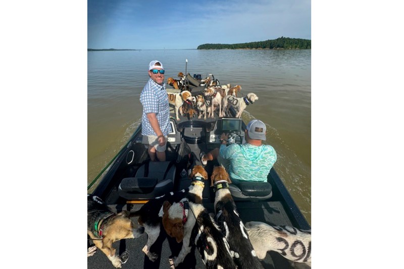 Boat Trips With Dogs Near Me