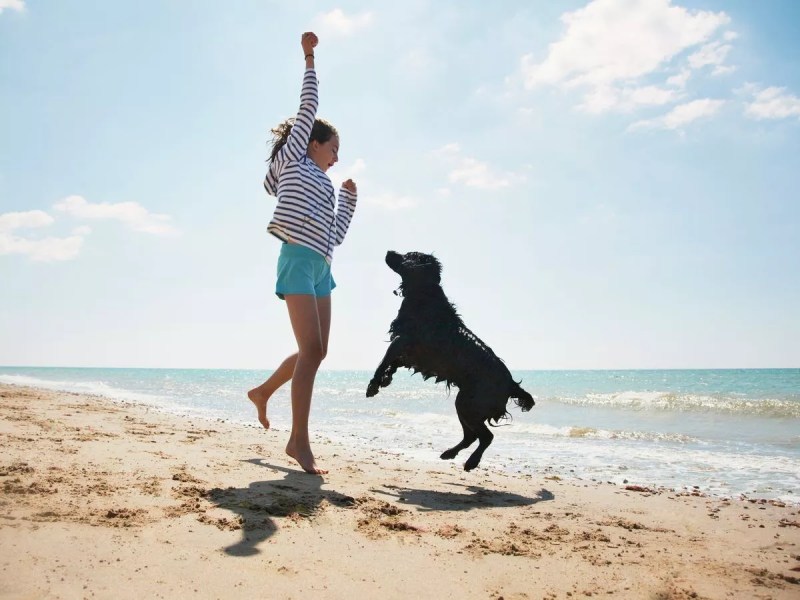 Dog Friendly Beaches East Devon