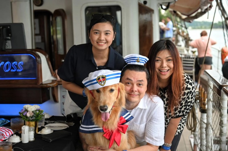 Dog Friendly Boat Trips Near Me