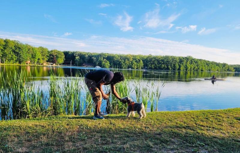 Dog Friendly Day Trips From Nyc