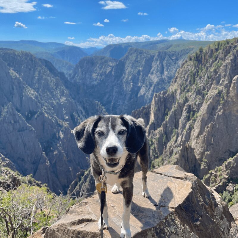 Dog Friendly Hiking Vacations