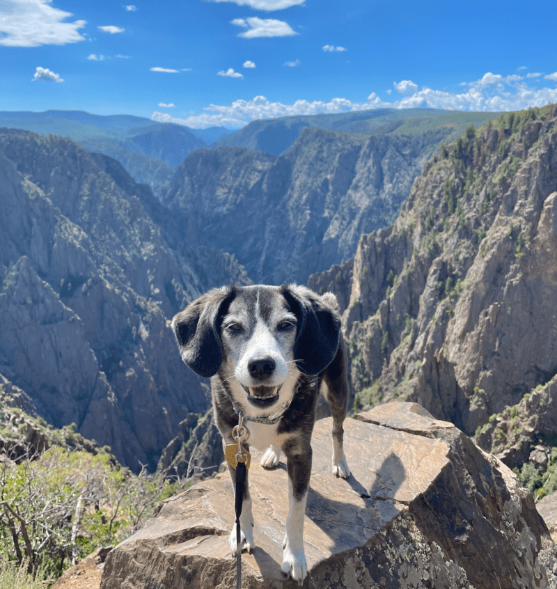 Dog Friendly Hiking Vacations