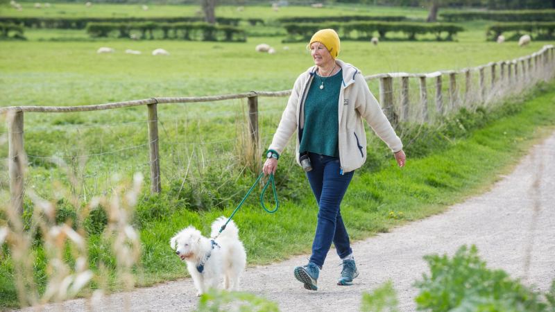 Dog Friendly Places Near Me To Walk