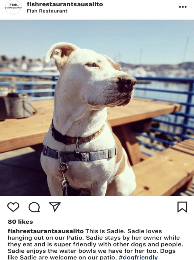 Dog Friendly Restaurants Near Me Now