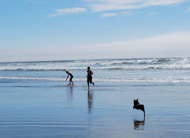 Dog Friendly Vacations In Oregon