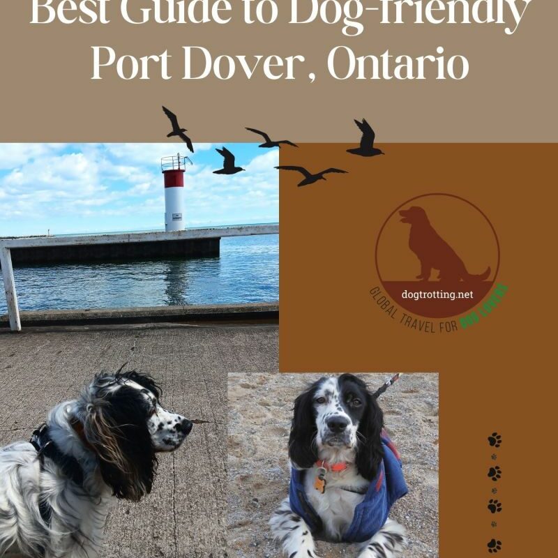 Dog Friendly Vacations In Pa