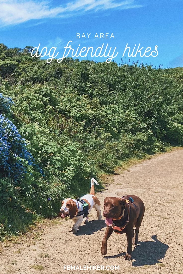 Good Dog Friendly Hikes Near Me