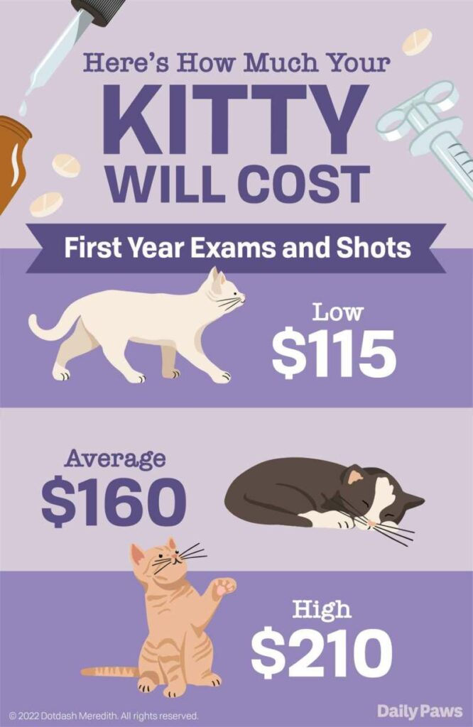 Low Cost Vaccines For Cats Near Me