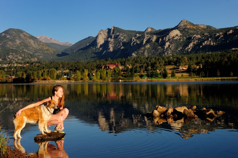 Pet Friendly Lodging Near Glacier National Park