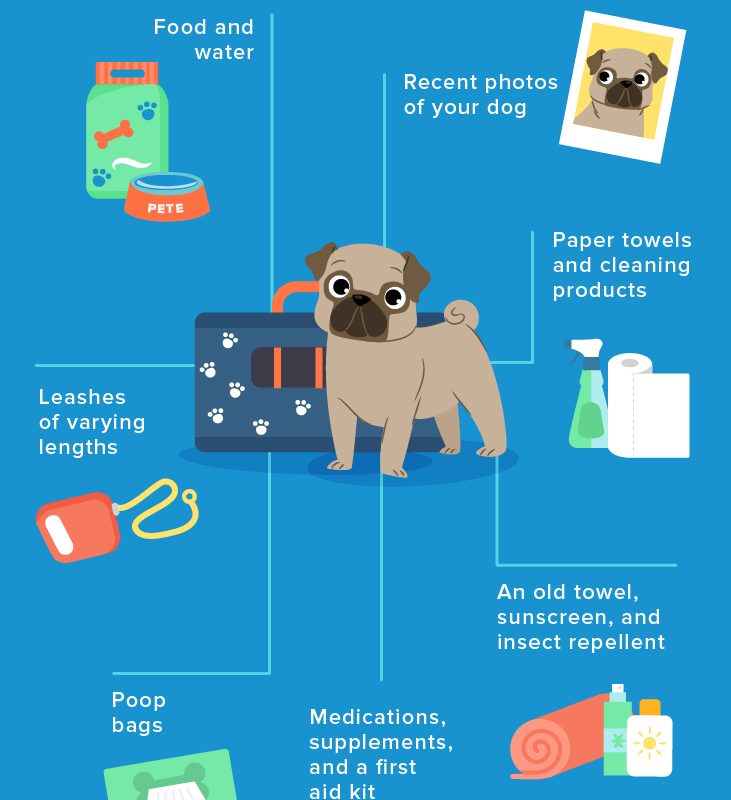 Places To Leave Your Dog When On Vacation