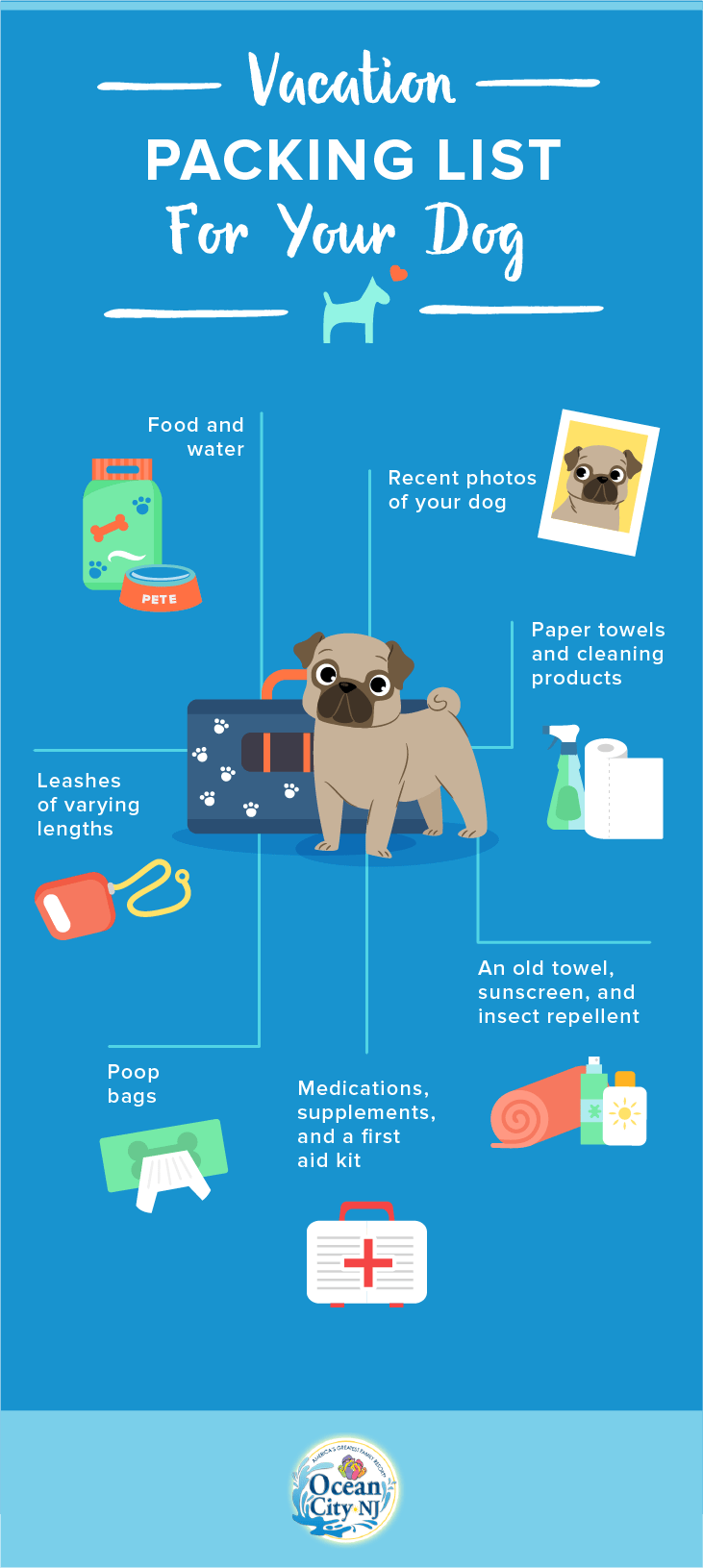 Places To Leave Your Dog When On Vacation